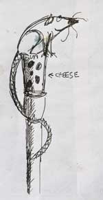 Rat Cane Drawing